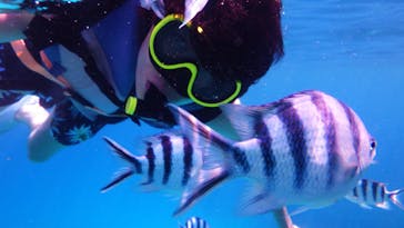 Sea World（シーワールド）に投稿された画像（2021/9/8）