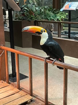 Moff animal world MARK IS みなとみらい店に投稿された画像（2021/9/8）