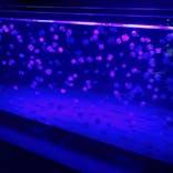 京都水族館に投稿された画像（2021/9/8）