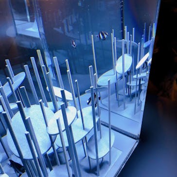 京都水族館に投稿された画像（2021/9/8）