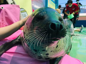 ゼロ距離水族館 伊勢シーパラダイスに投稿された画像（2021/9/8）