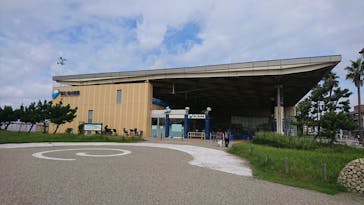 新江ノ島水族館に投稿された画像（2021/9/8）