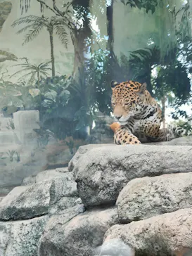 天王寺動物園に投稿された画像（2021/9/8）