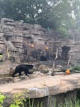 天王寺動物園に投稿された画像（2021/9/9）