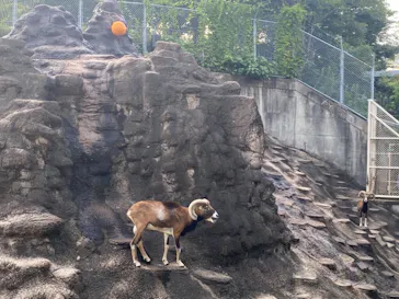 天王寺動物園に投稿された画像（2021/9/9）