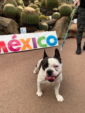 伊豆シャボテン動物公園に投稿された画像（2021/9/9）