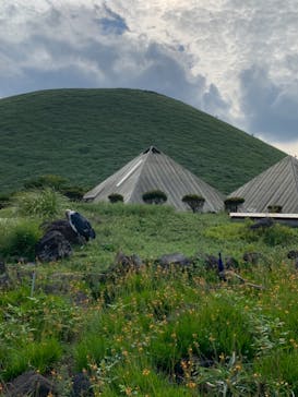 伊豆シャボテン動物公園に投稿された画像（2021/9/9）