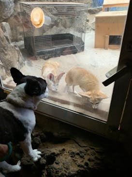 伊豆シャボテン動物公園に投稿された画像（2021/9/9）