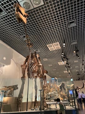 国立科学博物館に投稿された画像（2021/9/9）