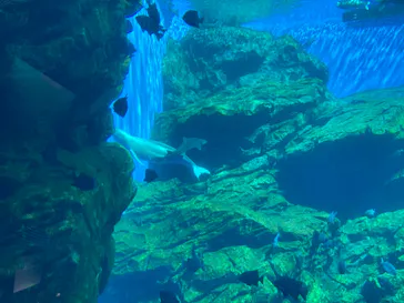 仙台うみの杜水族館に投稿された画像（2021/9/10）
