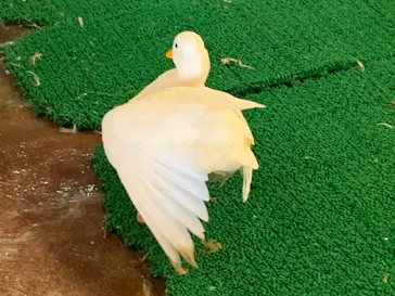 ひらかたパークに投稿された画像（2021/9/10）