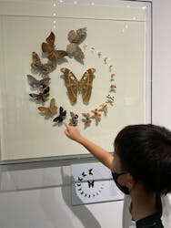 特別展「昆虫」(名古屋市科学館)に投稿された画像（2021/9/10）