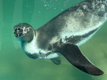 東武動物公園に投稿された画像（2021/9/10）