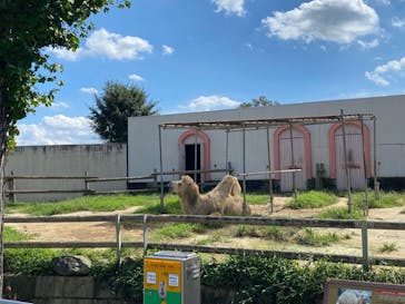 東武動物公園に投稿された画像（2021/9/10）