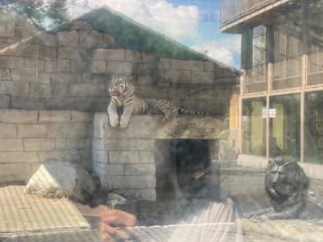東武動物公園に投稿された画像（2021/9/10）