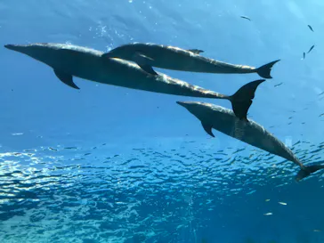 横浜・八景島シーパラダイスに投稿された画像（2021/9/10）