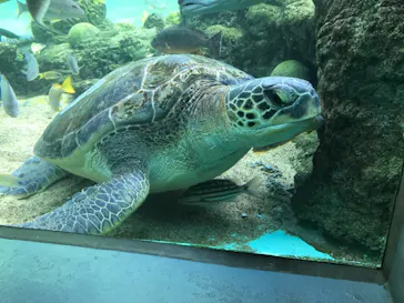 横浜・八景島シーパラダイスに投稿された画像（2021/9/10）