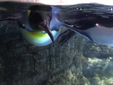 横浜・八景島シーパラダイスに投稿された画像（2021/9/10）