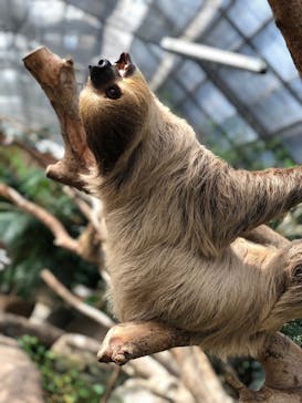 神戸どうぶつ王国に投稿された画像（2021/9/10）