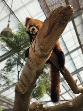 神戸どうぶつ王国に投稿された画像（2021/9/10）