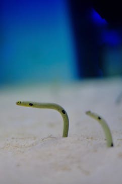 アクアワールド茨城県大洗水族館に投稿された画像（2021/9/10）