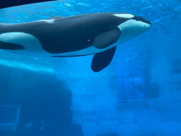 名古屋港水族館に投稿された画像（2021/9/11）