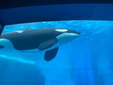 名古屋港水族館に投稿された画像（2021/9/11）