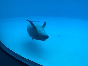 名古屋港水族館に投稿された画像（2021/9/11）