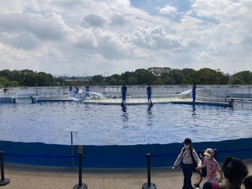 京都水族館に投稿された画像（2021/9/11）