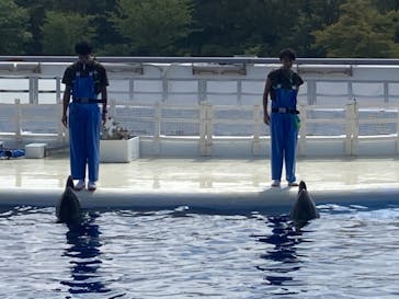 京都水族館に投稿された画像（2021/9/11）