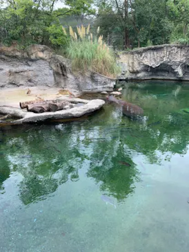 天王寺動物園に投稿された画像（2021/9/11）