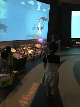 国立科学博物館に投稿された画像（2021/9/11）