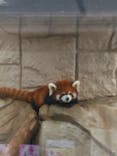 天王寺動物園に投稿された画像（2021/9/11）