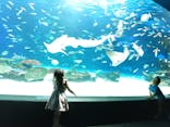 サンシャイン水族館に投稿された画像（2021/9/11）