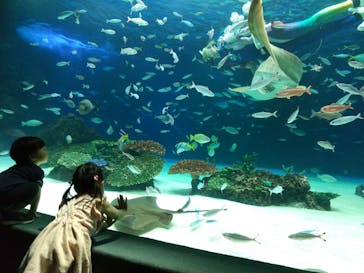 サンシャイン水族館に投稿された画像（2021/9/11）