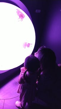 サンシャイン水族館に投稿された画像（2021/9/11）