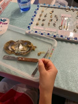 しながわ水族館に投稿された画像（2021/9/11）