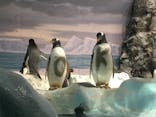 名古屋港水族館に投稿された画像（2021/9/11）
