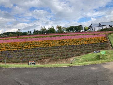 牧歌の里に投稿された画像（2021/9/11）