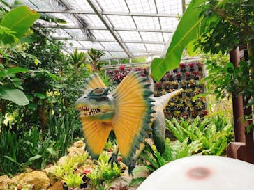 ナゴパイナップルパークに投稿された画像（2021/9/11）