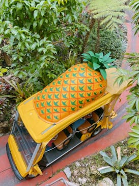 ナゴパイナップルパークに投稿された画像（2021/9/11）