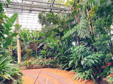 ナゴパイナップルパークに投稿された画像（2021/9/11）