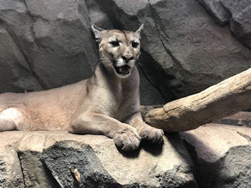 神戸どうぶつ王国に投稿された画像（2021/9/11）