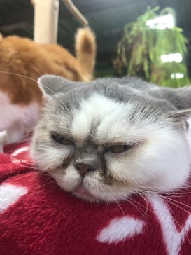 神戸どうぶつ王国に投稿された画像（2021/9/11）