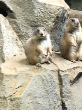 神戸どうぶつ王国に投稿された画像（2021/9/11）