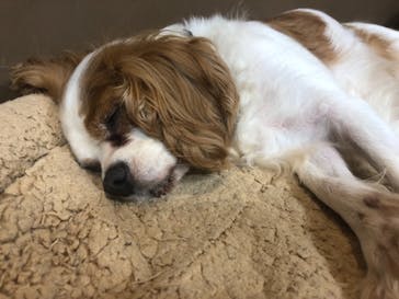 神戸どうぶつ王国に投稿された画像（2021/9/11）