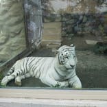 東武動物公園に投稿された画像（2021/9/11）