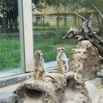 東武動物公園に投稿された画像（2021/9/11）