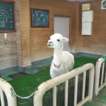 東武動物公園に投稿された画像（2021/9/11）