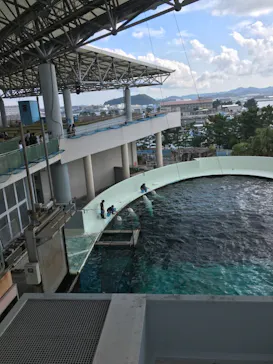 横浜・八景島シーパラダイスに投稿された画像（2021/9/11）